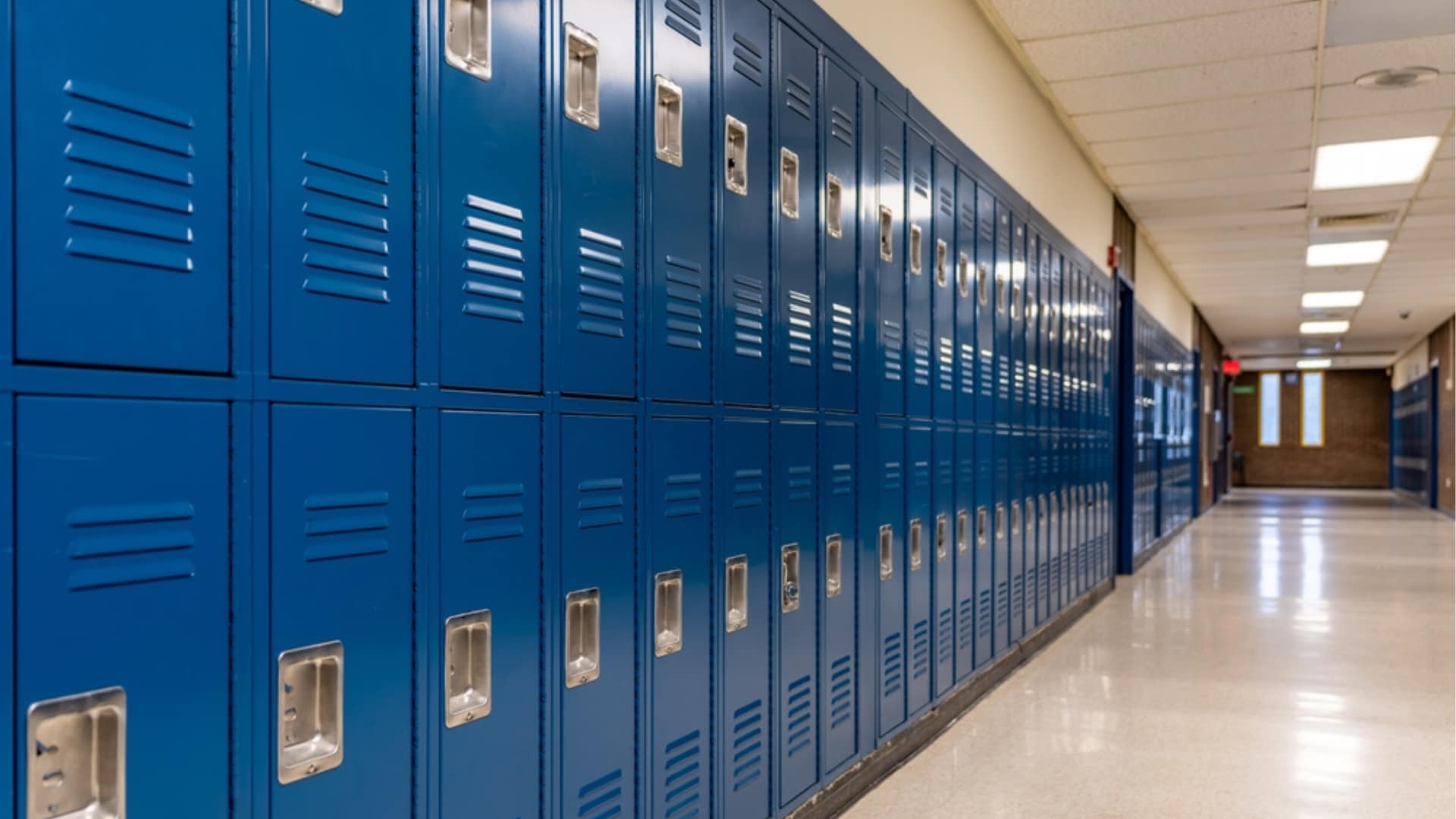 Wearable safety button