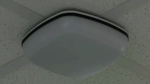 Strobes for visual notification of lockdowns