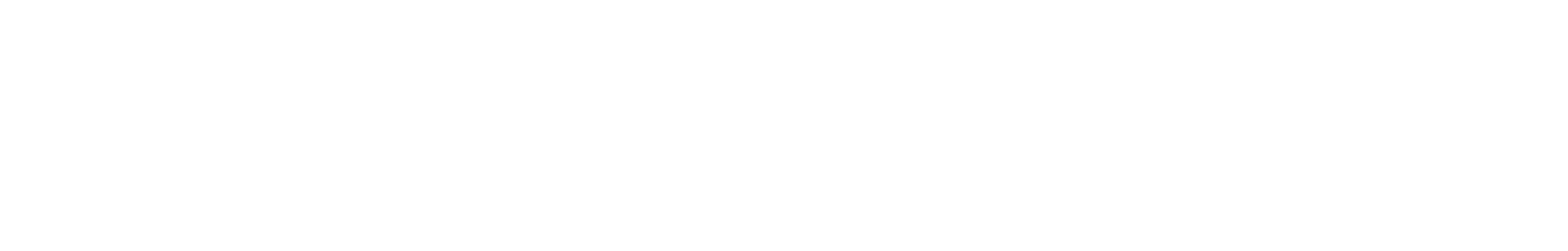 Horizontal CENTEGIX logo in all white