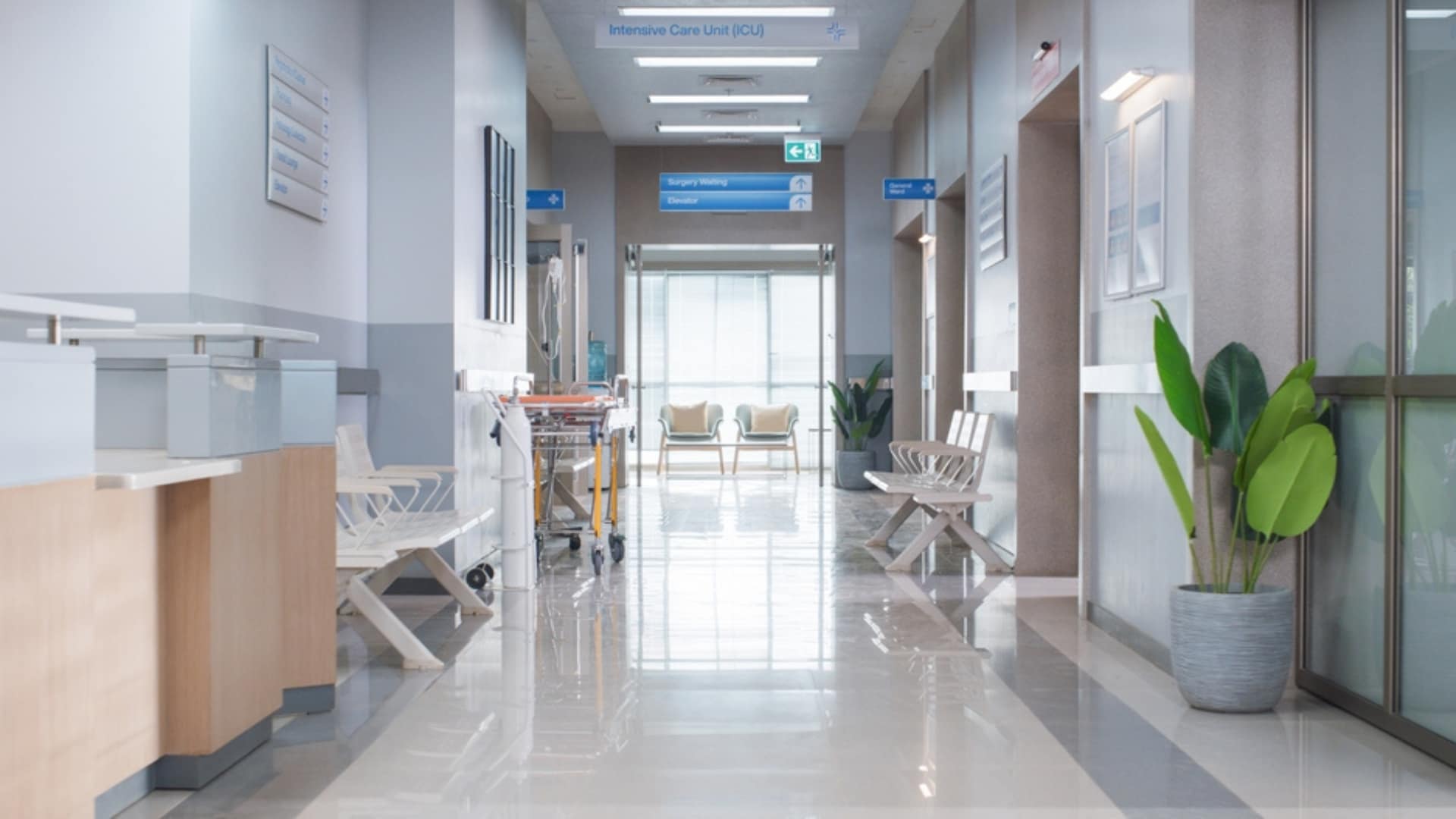 violence in healthcare