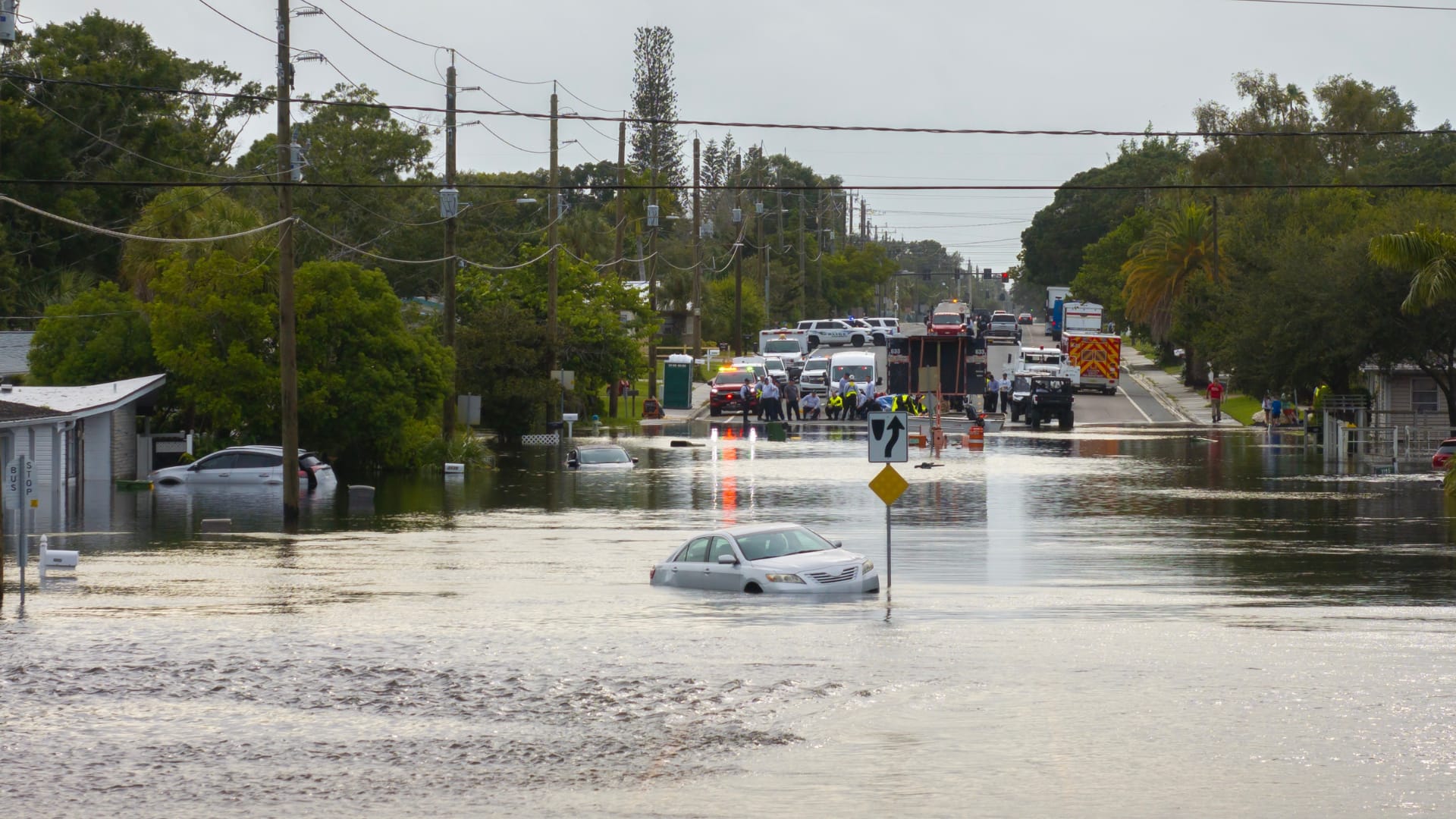 CENTEGIX safety in healthcare